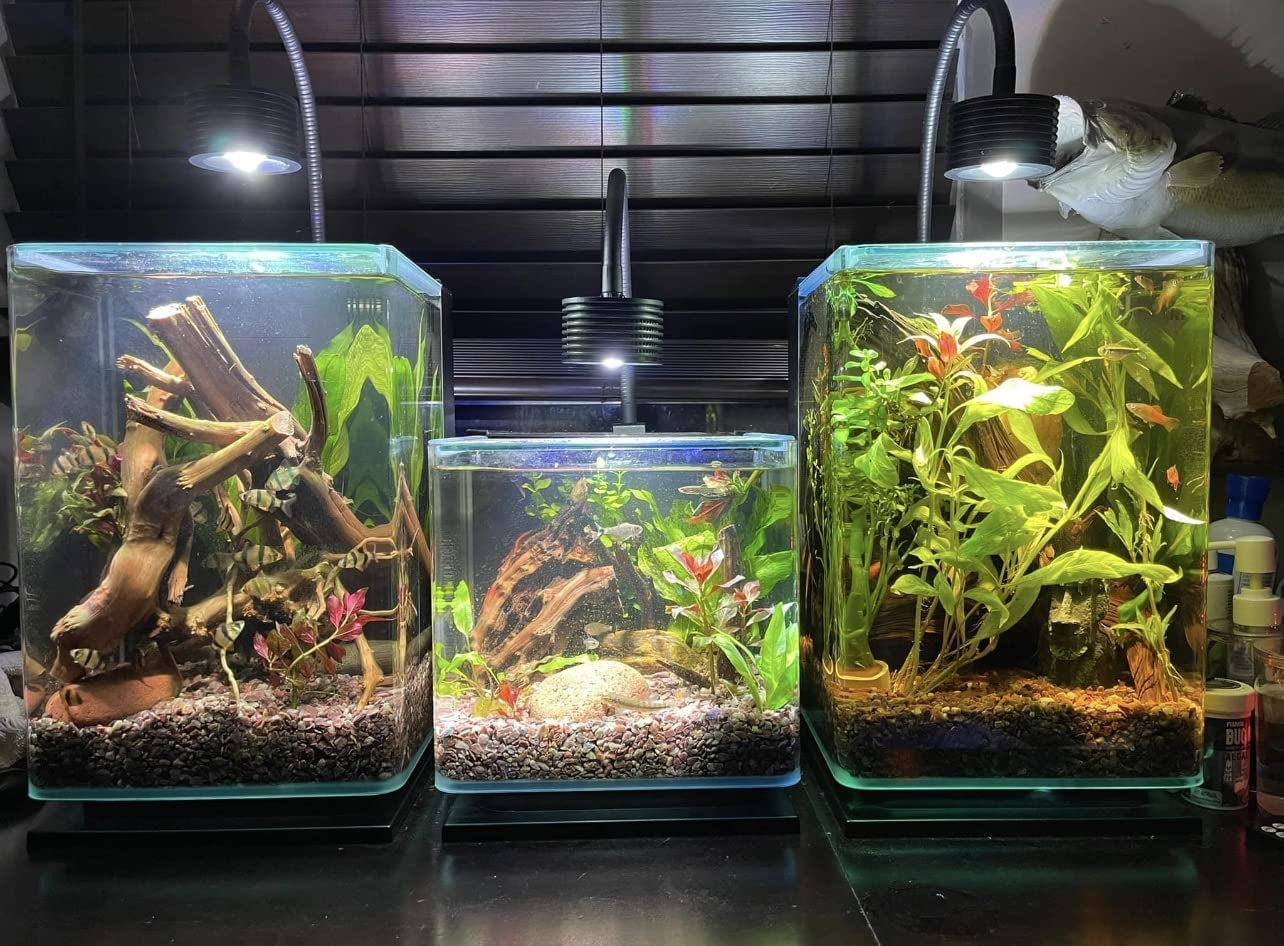 LED Aquarium Light, Planted Tank Light 4 Channels Remote Control 6500K Aquarium LED Lamp for Freshwater Fish Tank Refugium with Gooseneck (A20 Freshwater)