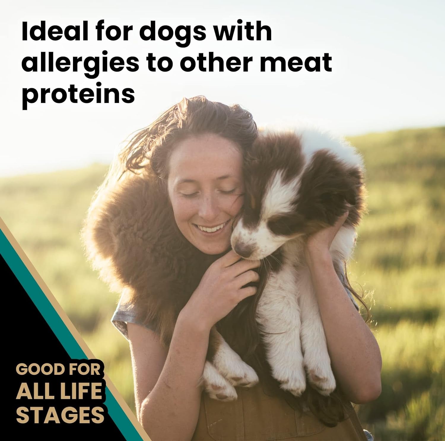 Super Premium Dog Food – Select Ocean Fish Formula with Salmon – Omega-3 and Omega-6 Enriched Gluten-Free Dry Kibble for All Normally Active Dogs of All Life Stages, 5Lbs